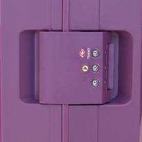 Alezar Premium Набор чемоданов Фиолетовый (20" 24" 28")